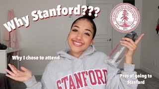 Why I Chose Stanford [upl. by Eillil992]