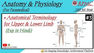 Anatomical Terminology for Upper Limb amp Lower Limb Language of Anatomy [upl. by Oicirbaf]