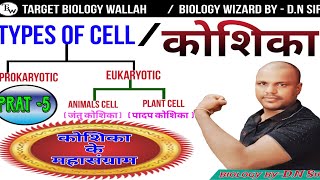 मानव कोशिकाHuman cellजंतु कोशिकाanimal cellपादप कोशिका plant cell cellbiology [upl. by Euqinay]