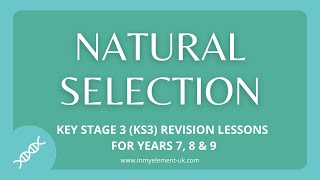 Natural Selection Evolution amp Extinction and Charles Darwin  Biology Revision Years 7 8 amp 9 [upl. by Odo]