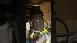 Secrets to Fixing a Garbage Disposal Fast [upl. by Elyr]