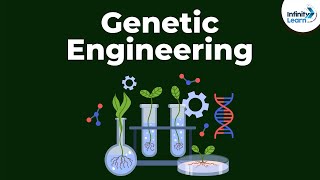 Genetic Engineering  Genetics  Biology  Dont Memorise [upl. by Roselba]