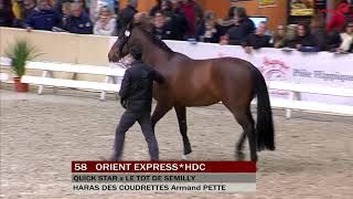 Orient ExpressHDC  Salon Etalons Saint Lô  022018 [upl. by Auqenet]