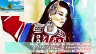 Sediq Shabab  Laila Dera Shaysta Da pashto  slowed  reverb  sediqshubab pashtosong [upl. by Morgun]