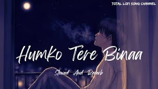 Humko Tere Bina Jeena Toh Sikha  Lofi  Chale Jana Phir  Rahul Mishra  Total Lofi Song Channel [upl. by Hugon971]