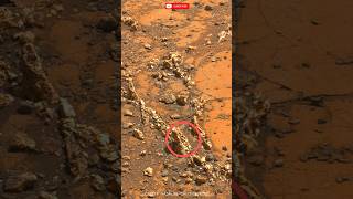 Mars view Curiosity sciencedawn [upl. by Anaiv]