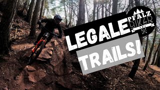 NEUE LEGALE TRAILS IM PFÄLZERWALD  Propain Tyee  2024  MTB Enduro [upl. by Ojibbob637]