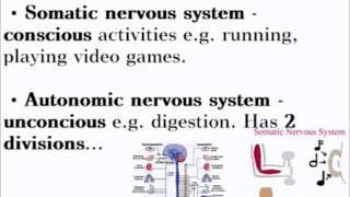 Animal Responses  ALevel A2 Biology Revision [upl. by Behka]