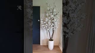 Indoor plants decoration ideas 💡 plants indoordecor gardning shorts viralshort [upl. by Cirre]