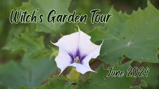 Witchs Garden Tour June 2024 [upl. by Narih707]