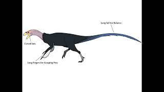 Ornitholestes Hermanni [upl. by Nylrac]