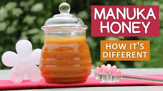 Manuka Honey Benefits  The Superfood from New Zealand [upl. by Jamison]