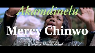 Mercy Chinwo  Akamdinelu Lyrics [upl. by Suzetta]