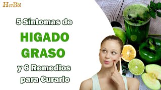 HÍGADO GRASO  Síntomas  Alimentación y Tratamiento para limpiarlo ─ Naturismo Herbol [upl. by Aihsit]