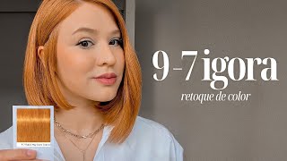 97 IGORA ROYAL  RETOQUE DE COLOR 🧡 [upl. by Vez]