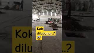 Proses pembuatan Lubang Pondasi Pada Bangunan Pabrik Eksisting construction [upl. by Buford]