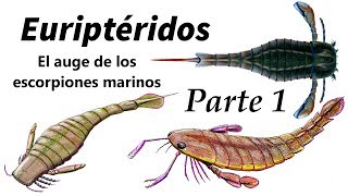 Euriptéridos Parte 1 el auge de los escorpiones marinos [upl. by London]