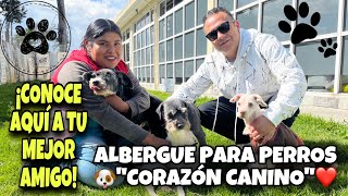 🐶Así es un ALBERGUE de adopción para perros  ❤️Corazón Canino A C  Todo lo que debes saber [upl. by Alderson]