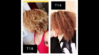 Toning my blonde ORANGE curly hair with Wella T14 [upl. by Eledoya]