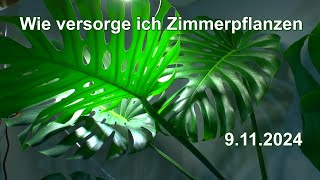 Wie versorgen ich die Zimmerpflanzen in der Aquabotanika [upl. by Garvey]