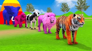 Long Slide Game With Elephant Gorilla Buffalo Hippopotamus Tiger  3d Animal Game  Funny 3d Animals [upl. by Duile]