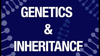 Genetics amp Inheritance [upl. by Eenehs]