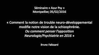 La schizophrénie comme trouble neurodéveloppemental [upl. by Anrak441]