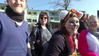 Carnevale Bedizzole BS 2016 Carri Maschere Coriandoli Allegria Festa [upl. by Mcquade]