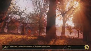 Fallout 76  Cripple a Mirelurks Limb 02  Daily Challenge [upl. by Leihcey]