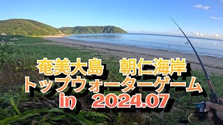 奄美市名瀬朝仁海岸で釣りしました。in20247 [upl. by Ellertal]