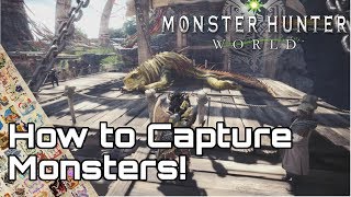 Monster Hunter World All Monsters  All Bosses [upl. by Koeppel]