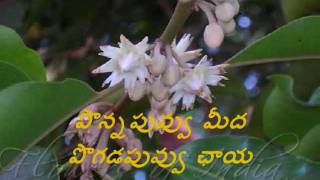 Amma Rajinama Video Songs  Srushtikarta Oka Brahma Full Song  Sharada  Dasari Narayana Rao [upl. by Annabel]