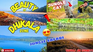 DHIKALA ZONE MAIN HUI RARE JUNGLE CAT amp CROCODILE SIGHTING 😱 yuvrajjimcorbett [upl. by Leonid]