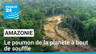 Amazonie Le poumon de la planète à bout de souffle • FRANCE 24 [upl. by Maureene]