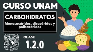 🌱 CARBOHIDRATOS  Moléculas orgánicas  CURSO UNAM  Monosacáridos disacáridos y polisacáridos [upl. by Signe]