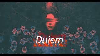 Butrint Imeri  Dujem SlowedReverb [upl. by Anelrahc793]