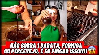 Não Sobra 1 Barata Formiga ou Percevejo É Só Pingar Isso 😱😱😱 [upl. by Py]