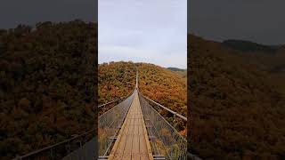 🍁The Geierlay Bridge— Germany 🇩🇪 🍂 [upl. by Hirschfeld]