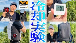 【どっちが涼しい？】ワークマン ペルチェベスト 水冷服 ファン付きウェア を35度以上猛暑で実践レビュー！ [upl. by Aisatnaf120]