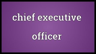 Chief executive officer Meaning [upl. by Maddi]