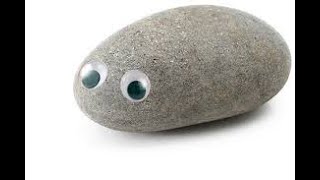 My pet rock died very emotional [upl. by Olifoet874]