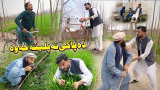 Da Paki Na Paleta Kha Wa  Pashto Comedy Video 2024  Ib Khan Vines [upl. by Tnerb]