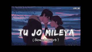 Tu Jo Mileya  Juss x MixSingh  New Punjabi Song 2024  Latest Punjabi Songs 2024 [upl. by Buerger]