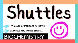 Shuttles  Malate amp Glycerol phosphate shuttles  Biochem  MBBS 1st year [upl. by Domenico]