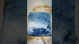 Mini Carpet Cleaning Satisfying Video asmr satisfying deepcleaner satisfyingvideo cleaning [upl. by Ivah]