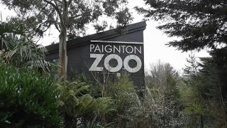 Paignton Zoo March 2020 [upl. by Miun970]