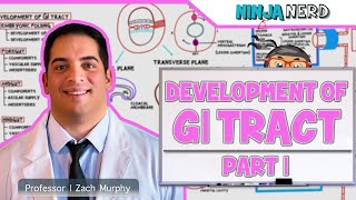 Gastrointestinal  Development amp Embryology of the GI Tract Part 1 [upl. by Pam72]