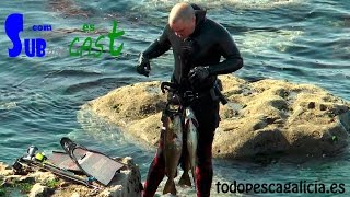 Documental completo Pesca Submarina En Busca del Abadejo [upl. by Riaj200]