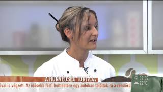 Körtésakácmézes a Honvédség Tortája  20150817  tv2humokka [upl. by Amabelle762]