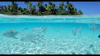 Seychelles Holiday SESZELE 2017 nasze 3 wakacje na wyspach [upl. by Aicrop]